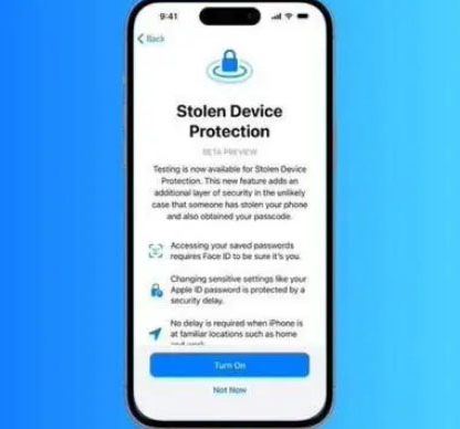 鸠江苹果授权维修店分享被盗设备保护功能开启方法 
