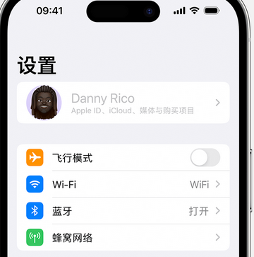 鸠江appleID维修服务iPhone设置中Apple ID显示为灰色无法使用 