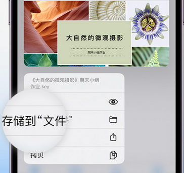 鸠江apple维修中心分享iPhone文件应用中存储和找到下载文件