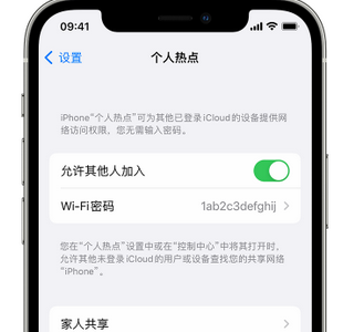 鸠江apple服务站点分享iPhone上个人热点丢失了怎么办 