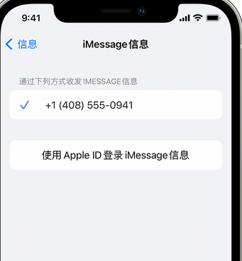 鸠江apple维修iPhone上无法正常发送iMessage信息 