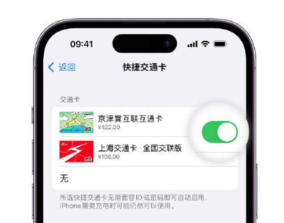 鸠江apple维修点分享iPhone上更换Apple Pay快捷交通卡手绘卡面 