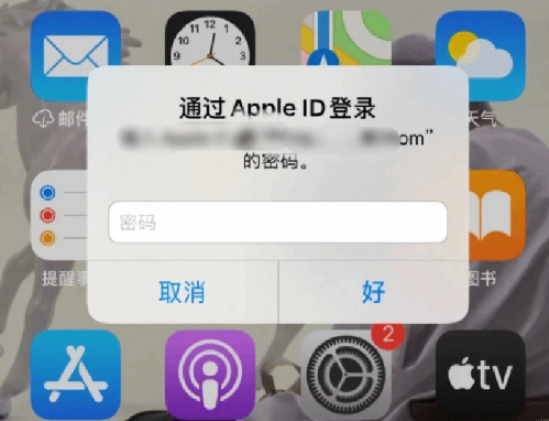 鸠江苹果设备维修分享无故多次要求输入AppleID密码怎么办 