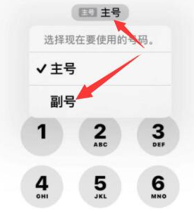 鸠江苹果14维修店分享iPhone 14 Pro Max使用副卡打电话的方法 