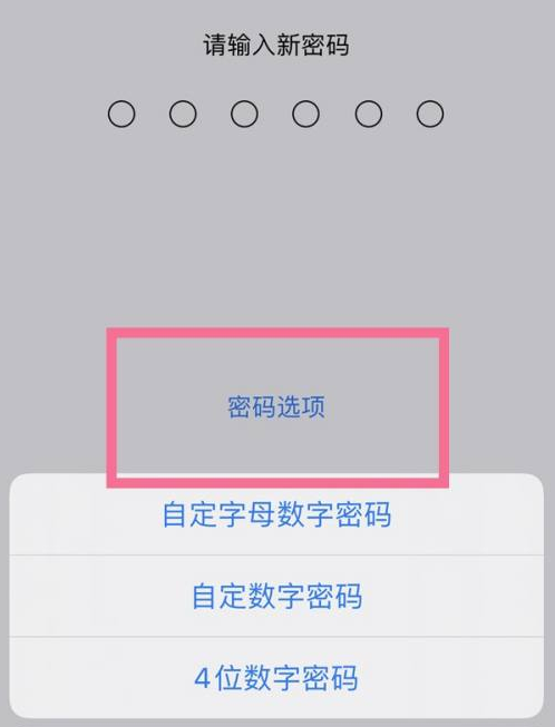 鸠江苹果14维修分享iPhone 14plus设置密码的方法 