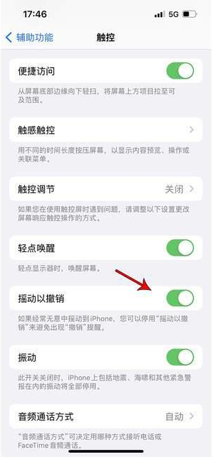 鸠江苹果手机维修分享iPhone手机如何设置摇一摇删除文字 